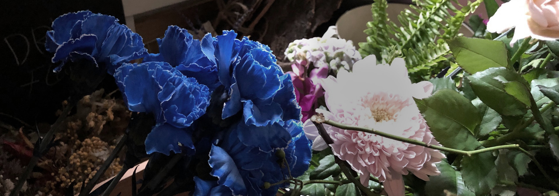BLUE ARROW FLOWER SCHOOL