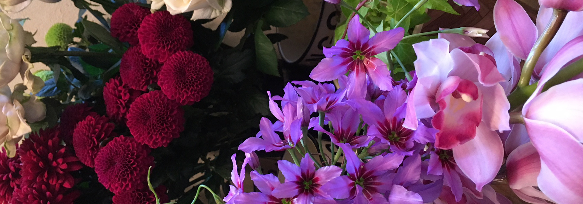 BLUE ARROW FLOWER SCHOOL