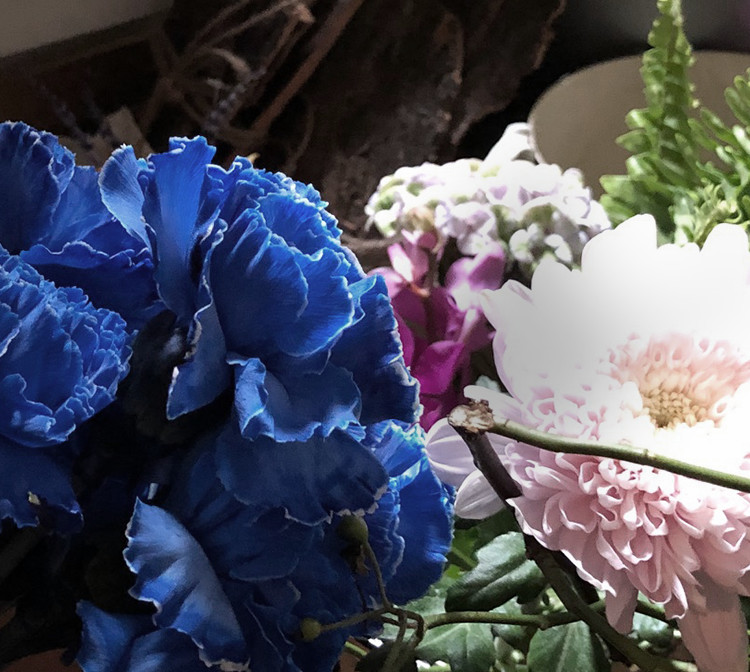 BLUE ARROW FLOWER SCHOOL